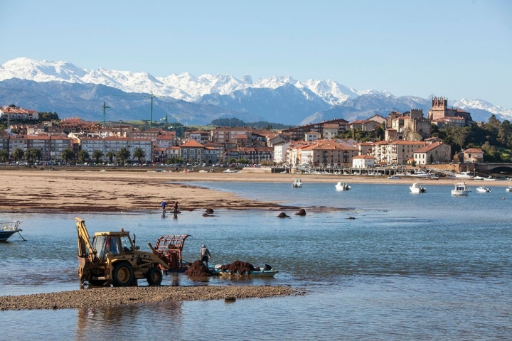 Una estampa típica de estas fechas