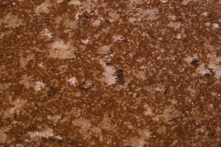 Detalle de la flor de sal cristalizando en una balsa