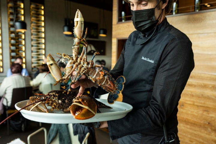 Bogavante bodega katxiña