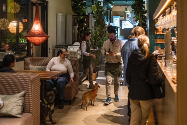 Mascotas en el interior de la cafetería Narigoni.
