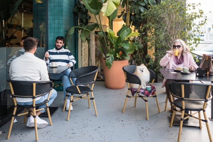 Mascotas en la terraza de la cafetería Narigoni.