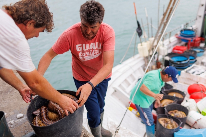Pescadores con un cubo de morenas.