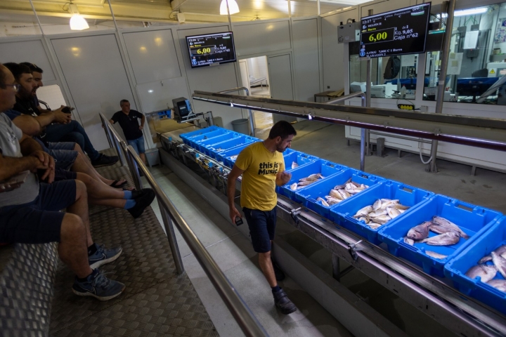 Subasta en la Lonja de Conil