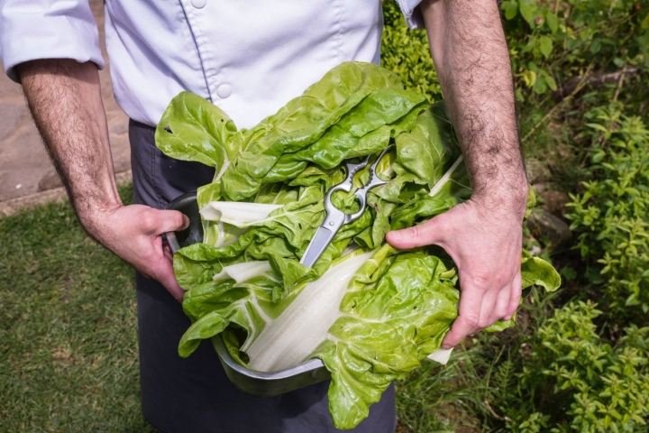 Aquí se come inmediatez.