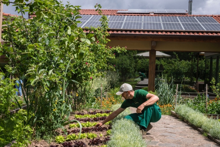 Varios paneles solares suministran energía limpia al restaurante.