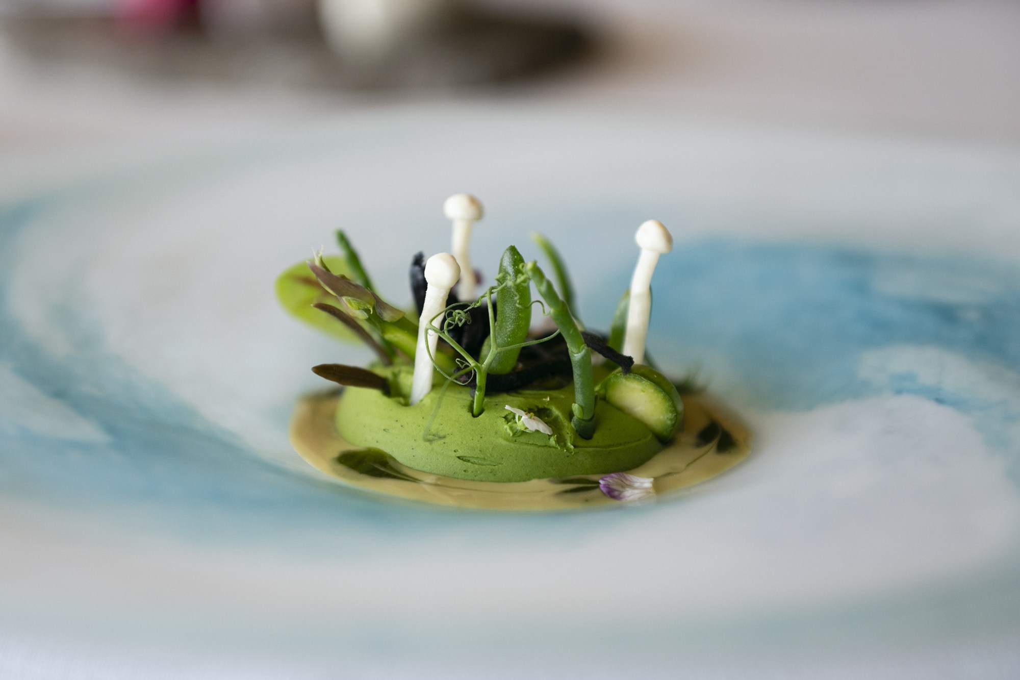 Con todos ustedes: mar y montaña.