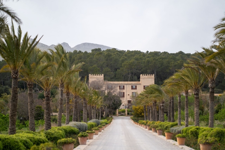 Rodeados de palmeras y con la montaña de fondo.