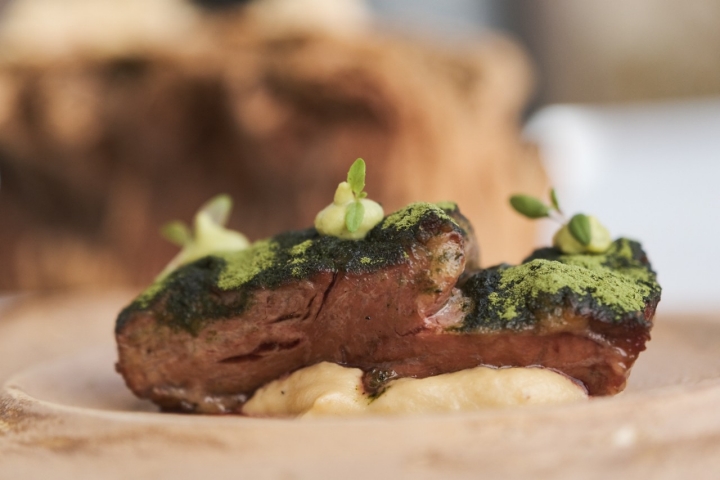 Restaurante Alberca pluma