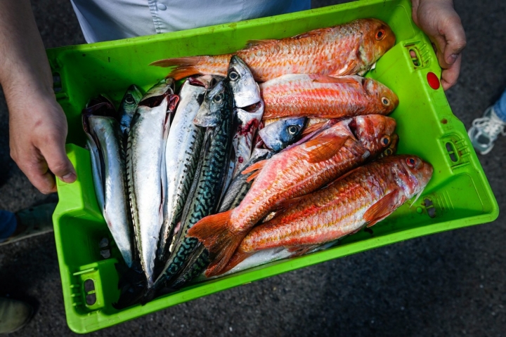 Restaurante As Garzas postre