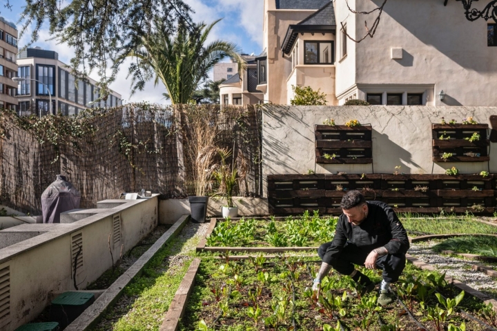 Huerto del restaurante Bancal (Madrid).