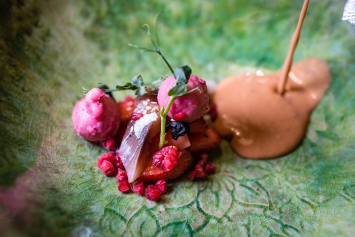 Plato de gazpacho de fresas oxidas en el restaurante Bichopalo