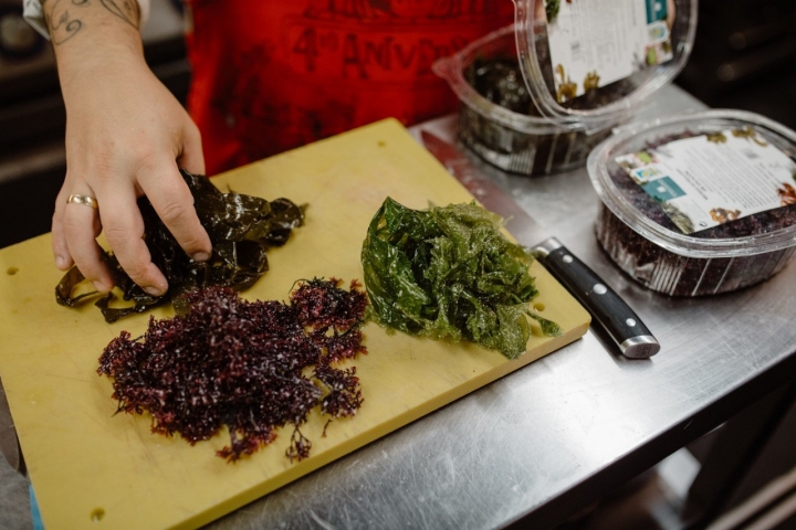 Pablo separa las algas que usará para las vieras, zamburiñas y pescados.