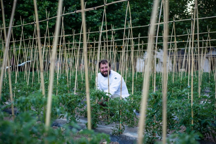 Roberto Cabrera junto a alguna de sus tomateras, su particular "museo vegetal".