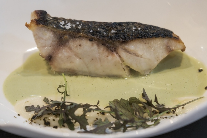 Corvina salvaje con puré de coliflor y gazpachuelo de plancton.