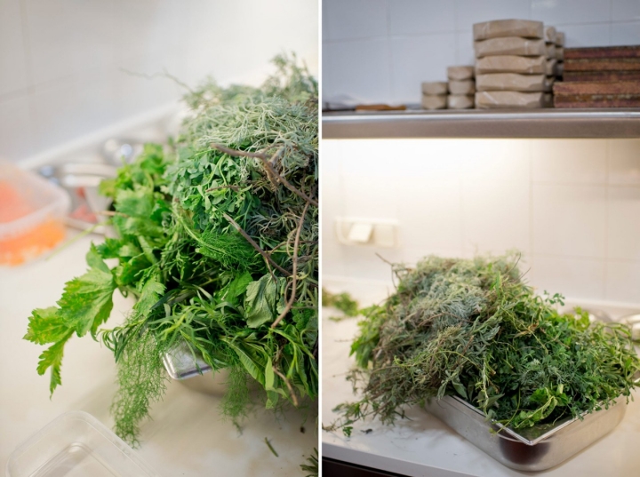 Ruda, artemisa, hierbaluisa, melisa, hinojo… las hierbas recién cortadas del huerto.