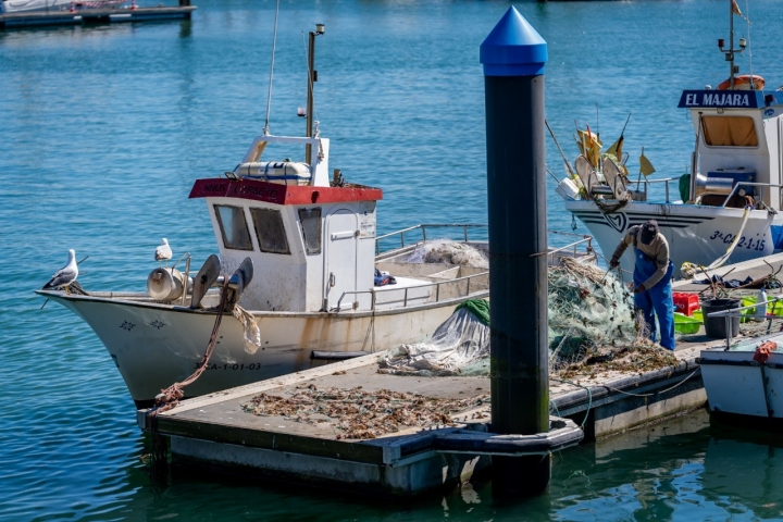Restaurante Tribeca barco