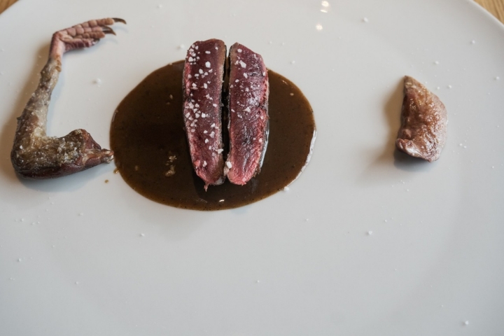 Paloma torcaz: pechuga sangrante y caldo de sus huesos.