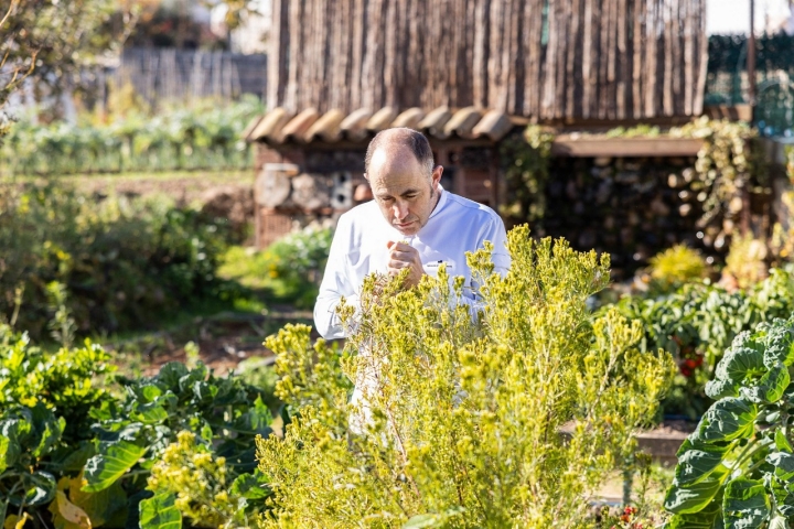flores venta moncalvillo