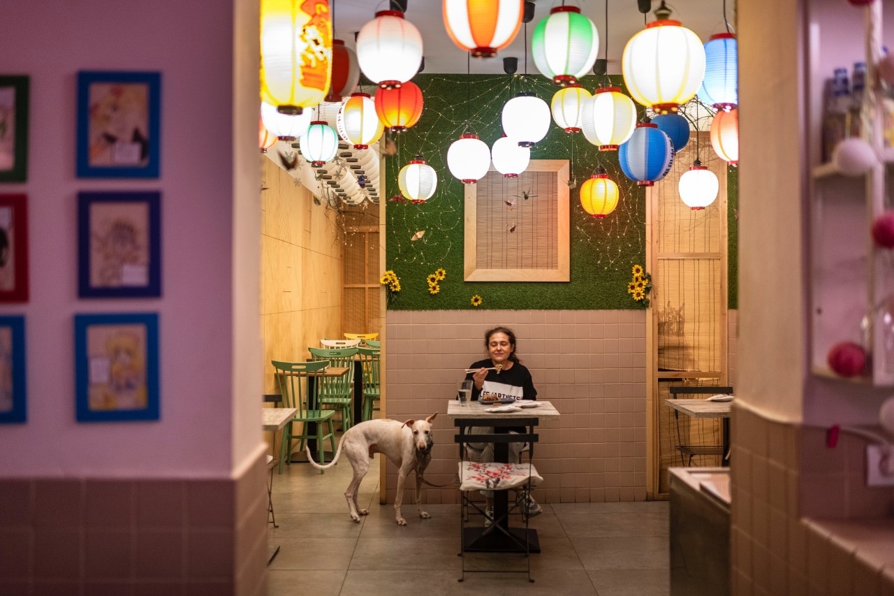 También hay lugar para los perros en la ciudad de los gatos