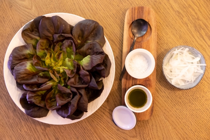 Málaga (España) Marbella 07/10/2022 Reportaje en los restaurantes Thaissence y A Fuego del grupo hotelero La Ciudadela Marbella. En la fotografía, lechuga hidropónica en A Fuego.Foto: Daniel Pérez