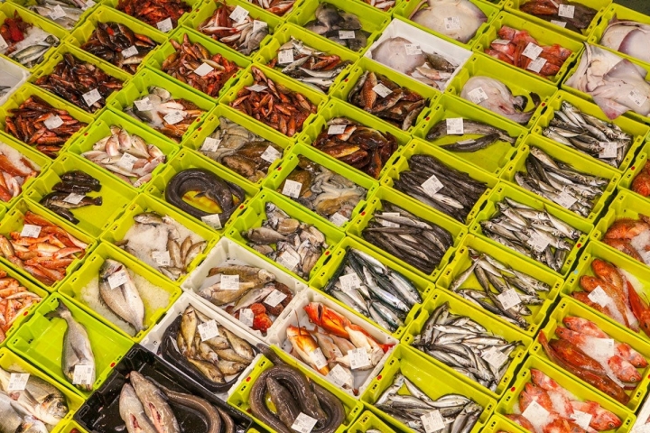 Tener la seguridad de que vas a comer lo que llega a la lonja en el día.