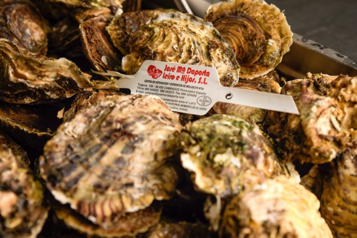 Yayo Daporta tiene su propia depuradora familiar para las ostras.