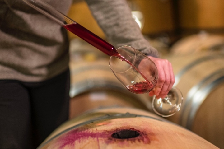 Extrayendo vino de una barrica de la bodega Castell d'Encús, Pallars Jussá de Lleida.