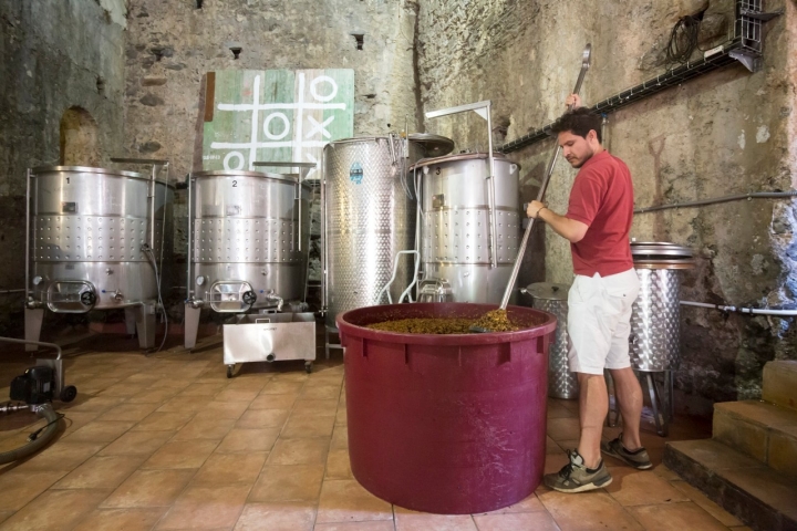 Vino Bodega Fabrica Hojalata Juzcar