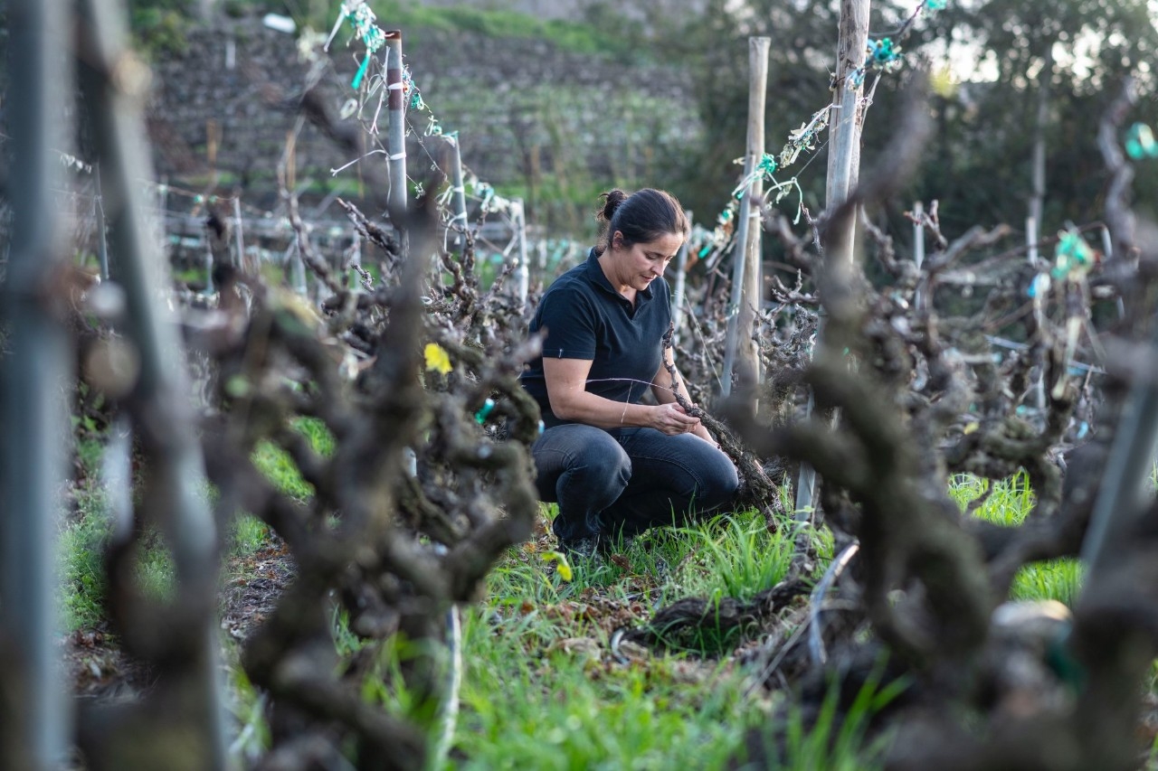 Fátima Hernández, de la bodega LoHer, en sus viñedos de La Matanza (Tenerife).
