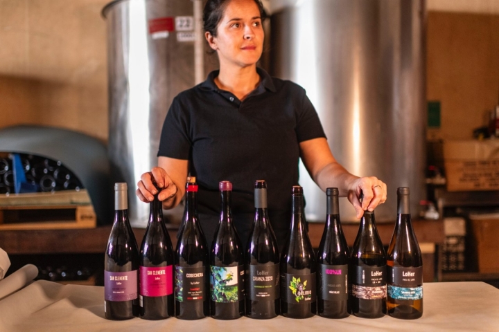 Selección de vinos de la bodega LoHer (Tenerife)