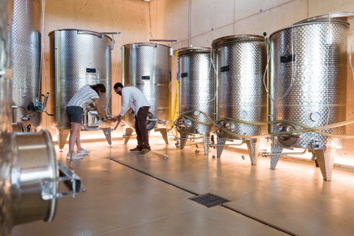 Bodegas Bal Minuta depósitos