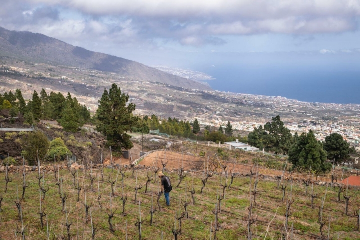 Vistas del Valle de Güímar desde Bodegas Ferrera (Tenerife).