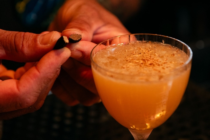 Semilla de haba tonka partida por la mitad