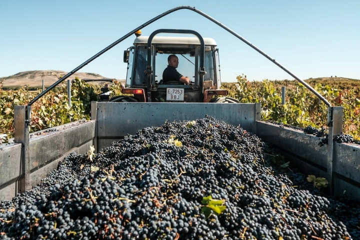 Pago de los Capellanes