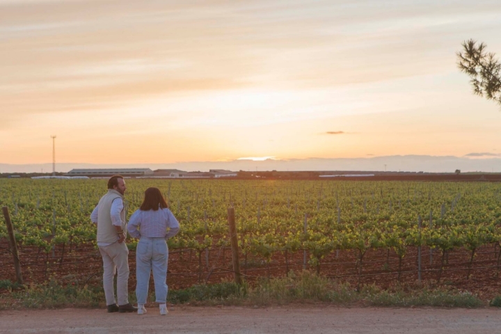 Entorno Pago Guijoso