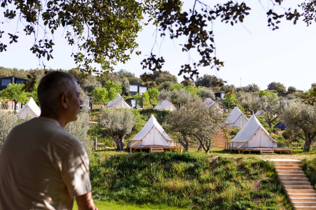 Alquézar y su camping de olivos centenarios