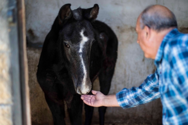 El 'Hotelito', un alojamiento 'agrochic'.