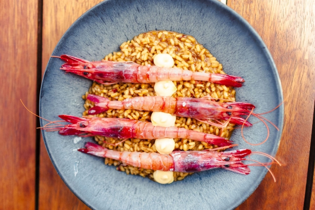 Un refugio delicioso en pleno campo menorquín