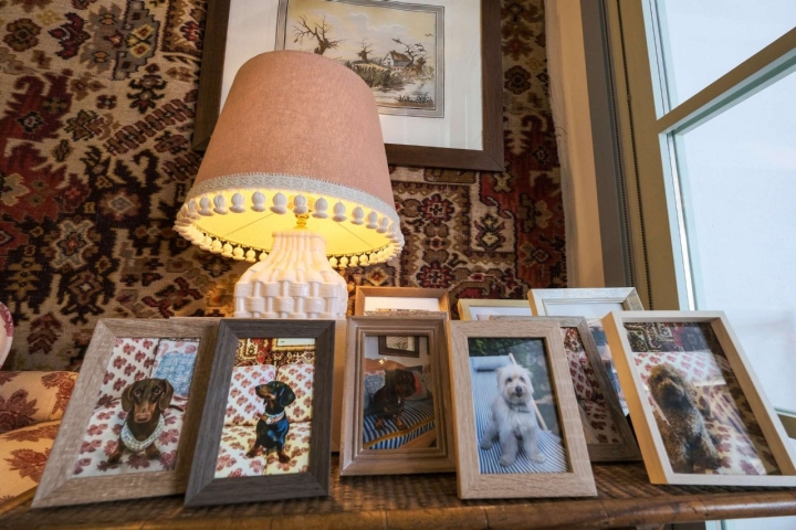 Fotos de perros sobre mesita en una de las salas.