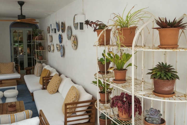 Plantas en la zona exterior