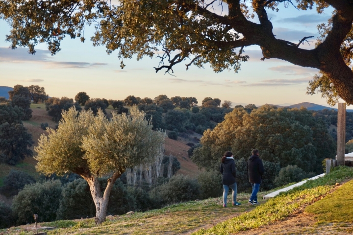 La finca ofrece vistas a los Montes de Toledo. 
