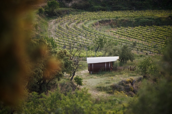 El valor diferenciador de 'Finca Seguró',  es el enoturismo, cultivan sus propios viñedos en ecológico.