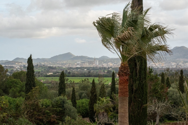 El hotel se encuentra en pleno corazón de Mallorca, tierra adentro, muy cerca de Manacor. 