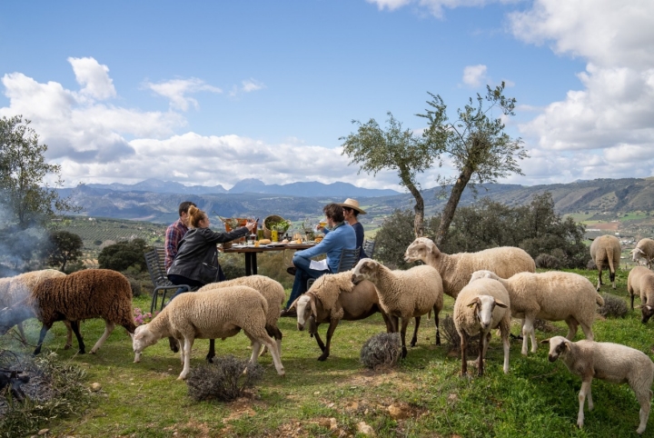 Un rincón en Ronda para descansar en plena naturaleza. Foto: LA Organic