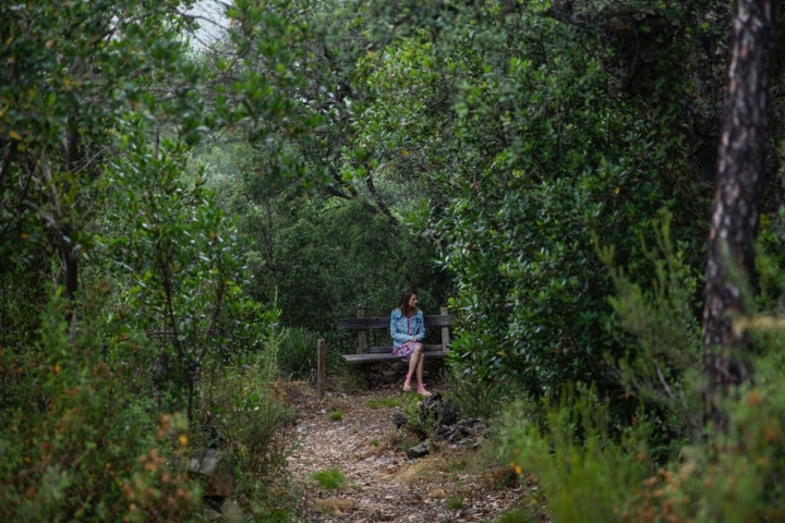 'Mar de Fulles'. Castellón  ​