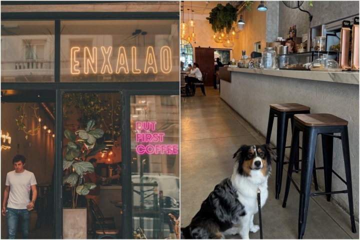 'Enxalao' procura buenos momentos a humanos y mascotas en Donostia. Foto: Facebook 'Enxalao'