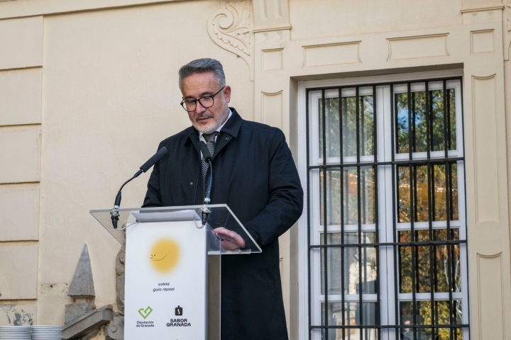 El diputado de Fondos Europeos, Desarrollo, Industria y Empleo, Antonio Díaz.