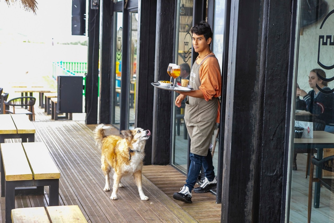 Humanos y perros se relamen ante la llegada de la comanda. Foto: José García