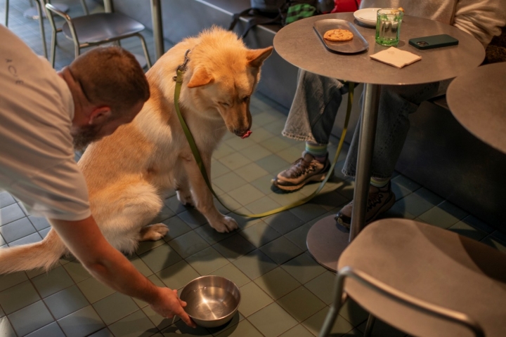 Especial cuidado con los animales en ‘A Café’. Foto: Sofía Moro
