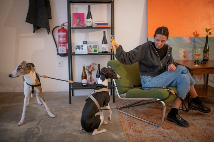BAR DE VINOS NATURALES Y CAFÉ